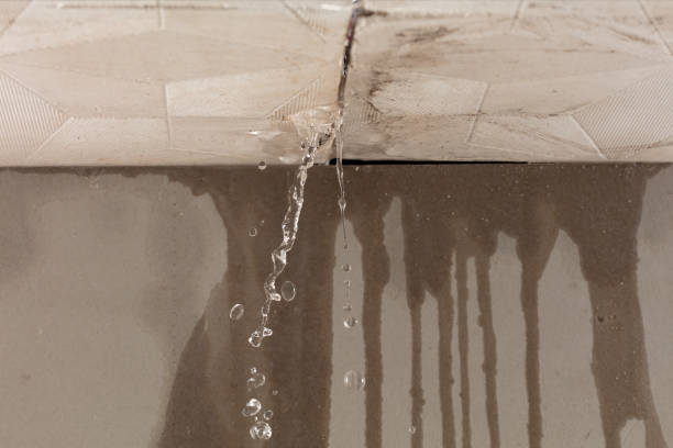 Professional Structural Drying technician working in Lowell, OH